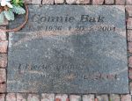 Connie Bak.JPG
